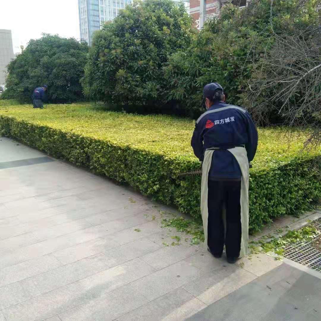 绿化.jpg