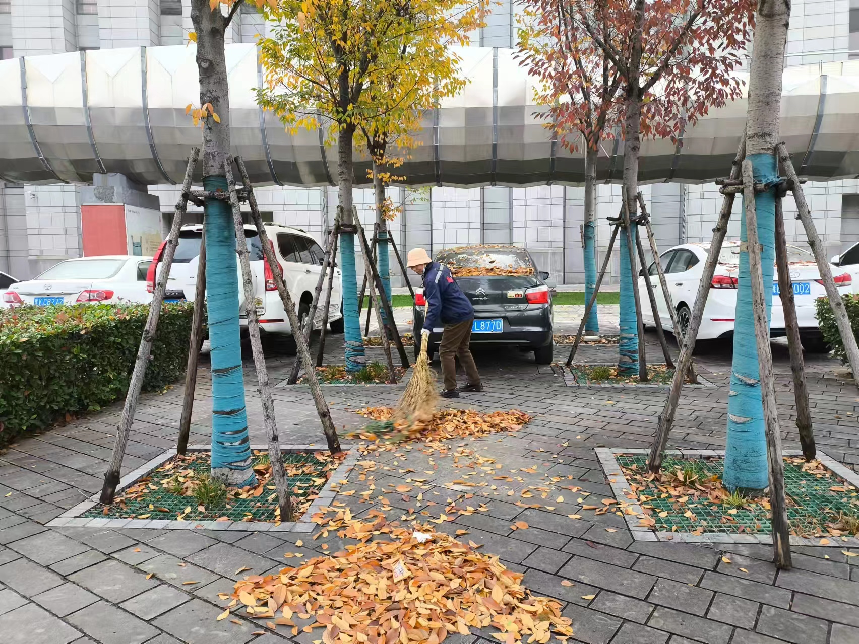 6f289a3e85aa6e79e1e5520ca253e33.jpg